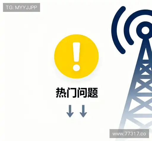 用户指南